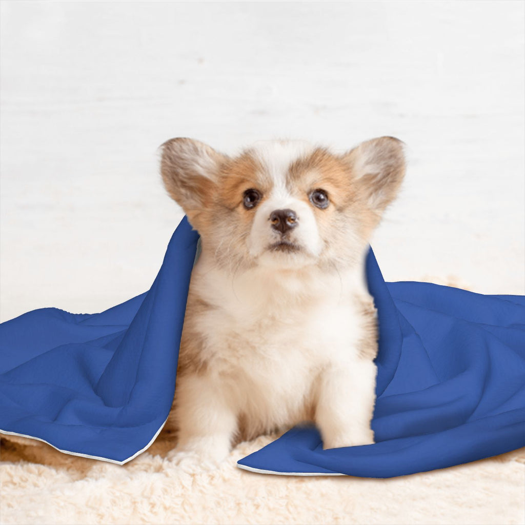 Custom Sky Blue Cream Pet Blanket
