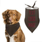 Custom Brown Crimson Red Pet Scarf