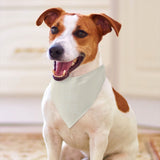 Custom Cream White Pet Scarf