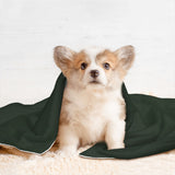 Custom Dark Green Orange Red Pet Blanket