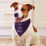 Custom Purple Light Blue Pet Scarf