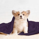 Custom Purple Emerald Green Pet Blanket