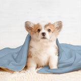Custom Light Blue Yellow Pet Blanket