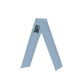 Custom Light Blue Blue Headband
