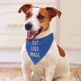 Custom Sky Blue Cream Pet Scarf