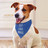 Custom Sky Blue White Pet Scarf
