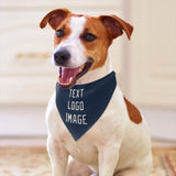 Custom Blue Cream Pet Scarf