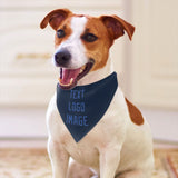 Custom Blue Sky Blue Pet Scarf