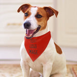 Custom Orange Red Brown Pet Scarf