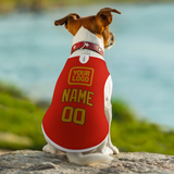 Custom Orange Red Yellow Pet Vest