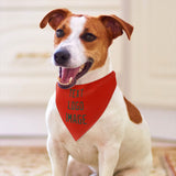 Custom Orange Red Green Pet Scarf
