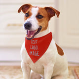 Custom Orange Red Light Blue Pet Scarf