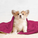 Custom Pink Coral Red Pet Blanket