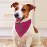 Custom Pink Emerald Green Pet Scarf