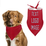 Custom Red Light Blue Pet Scarf