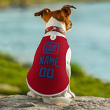 Custom Red Sky Blue Pet Vest
