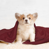 Custom Crimson Red Gold Pet Blanket
