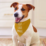 Custom Yellow Cream Pet Scarf