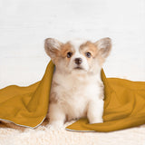 Custom Yellow Crimson Red Pet Blanket