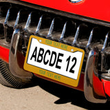 Custom Yellow Emerald Green License Plate Frame