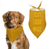 Custom Yellow Gold Pet Scarf