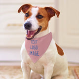 Custom Light Pink Sky Blue Pet Scarf