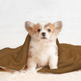 Custom Khaki Sky Blue Pet Blanket