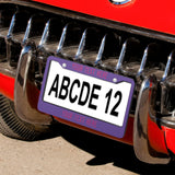 Custom Light Purple Pink License Plate Frame
