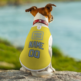 Custom Light Yellow Light Blue Pet Vest