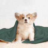 Custom Blue Green Black Pet Blanket