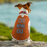 Custom Orange Light Blue Pet Vest
