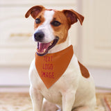 Custom Orange Red Pet Scarf