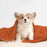 Custom Orange Coral Red Pet Blanket