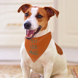 Custom Orange Blue Green Pet Scarf
