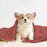 Custom Copper Rose Purple Pet Blanket
