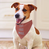 Custom Copper Rose Light Blue Pet Scarf