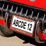 Custom Copper Rose Light Yellow License Plate Frame