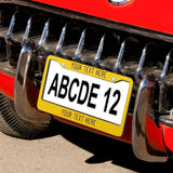 Custom Gold Purple License Plate Frame