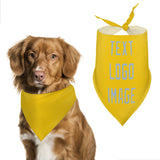 Custom Gold Light Blue Pet Scarf