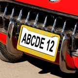 Custom Gold Light Blue License Plate Frame