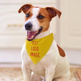 Custom Gold Orange Red Pet Scarf