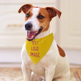 Custom Gold Pink Pet Scarf