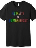 Men's T-Shirt Equality Is Human Right Bold Rainbow Lettering On Black Cotton Shirt