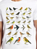 Men's T-Shirt Colorful Birds Perched Among Lush Branches And Soft Sunlight Bird