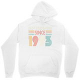 Men's Hoodie Since With Colorful Retro Numbers And Pastel Stripes Hoodie