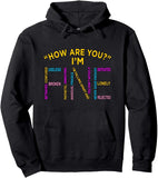 Men's Hoodie How Are You Fine Mixed Feelings Colorful Motivational Hoodie