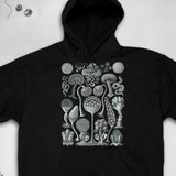 Men's Hoodie Detailed Botanical Views With Surreal Patterns Under Shaded Moonlight Plants