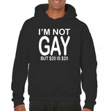Men's Hoodie Im Not Gay But Twenty Dollars Is Twenty Dollars Statement Hoodie
