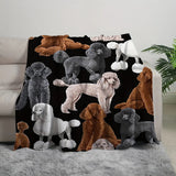 Gifts for Dog Lovers Blanket - Poodles Are My Favorite People,” From Pet Parents, Birthday, Christmas, Everyday Encouragement, Inspirational